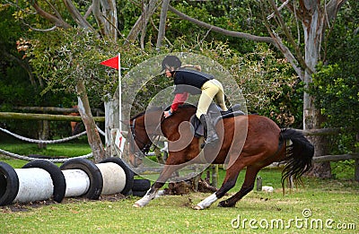 Horse refusing jump Stock Photo