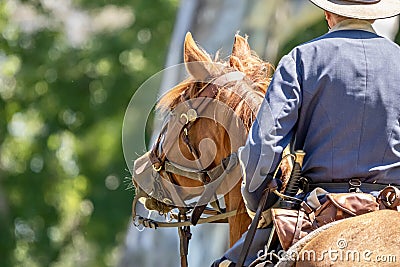 Horse and rider during an American Civil war reenactment Editorial Stock Photo