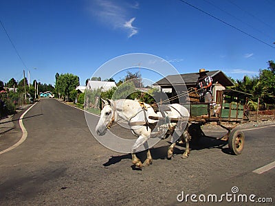 Horse rider at Chile, countryside at Linares, Maule Editorial Stock Photo