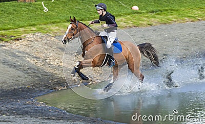 Horse rider competing in Cross Country Event. Editorial Stock Photo