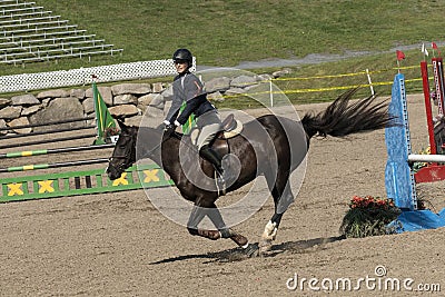 Horse with rider completing a jump Editorial Stock Photo