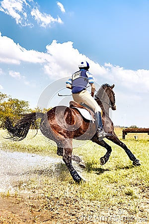 Horse and rider cornering at speed Editorial Stock Photo