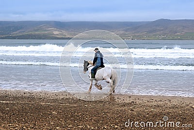 Horse and rider on the maharees beach Editorial Stock Photo