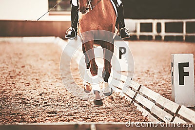 The horse and rider training to complete the dressage. Equestrian sports. Horse riding. The horse`s hooves tread on the sand Stock Photo