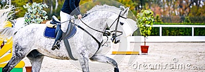 Horse and rider in uniform. Stock Photo