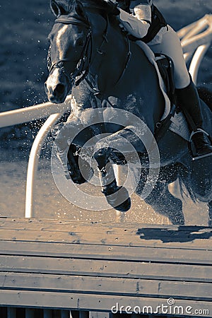 Horse and rider at a water jump competing, in the cross country stage, at an equestrian three day event. Stock Photo