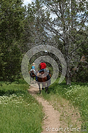 Horse riders on the mountain trail Stock Photo