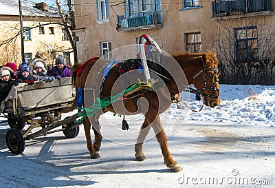 Horse rides children on a sleigh in winter. Editorial Stock Photo