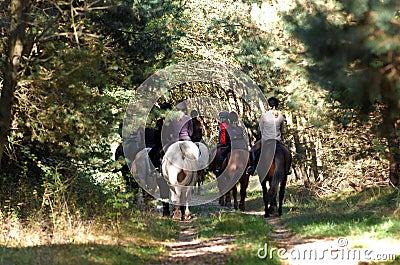 Horse riding Stock Photo