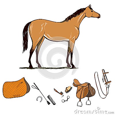 Horse riding gear tools set. Bridle, saddle, stirrup, brush, bit, snaffle, harness, supplies, whip equine equipments. Vector Illustration