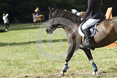 Horse riding lessons Stock Photo