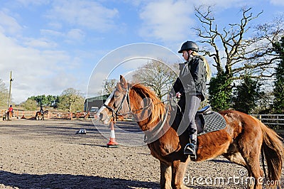 Horse riding at paddock Stock Photo