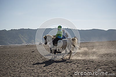 Horse riding service around Bromo Tengger Semeru National Park, East Java, Indonesia. Stock Photo