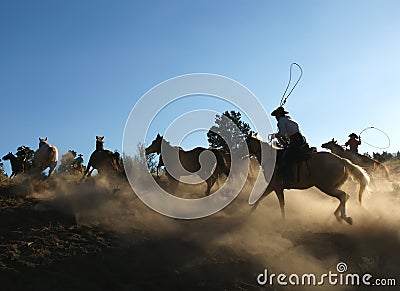 Horse Roundup at Dusk Stock Photo