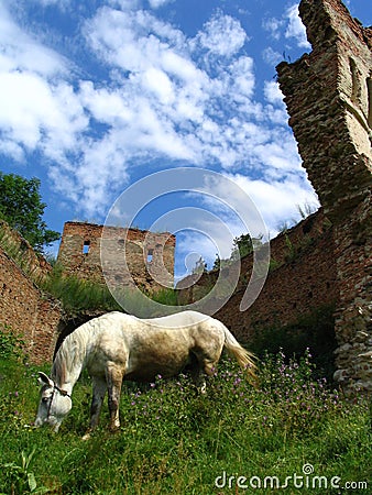 Horse and ruins Stock Photo