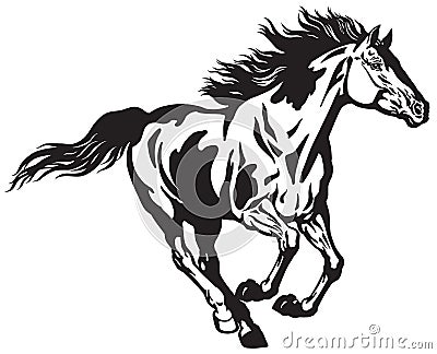 Wild horse running free. Black and white Vector Illustration