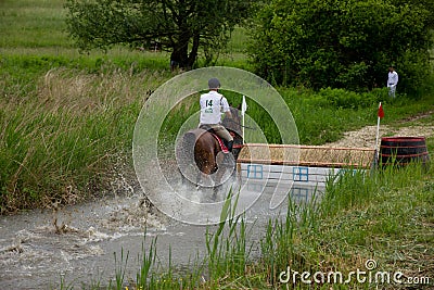 Horse running through water in a cross country race. Editorial Stock Photo