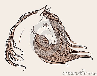 Horse's head. Tattoo sketch. Vector hand drawn illustration Vector Illustration