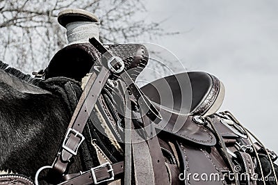 Horse saddle,leather,blanket Stock Photo