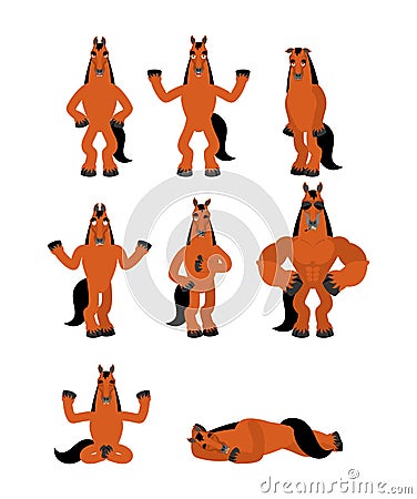 Horse set poses. Steed happy and yoga. hoss sleeping and angry. guilty and sad. Vector illustration Vector Illustration