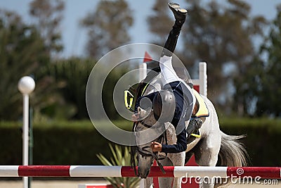 Horse show jumping accident Editorial Stock Photo