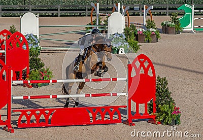 Horse Show Jumping Editorial Stock Photo