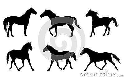 Horse silhouette Vector Illustration