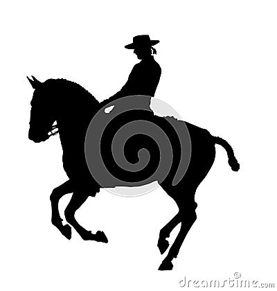 Lusitano Horse silhouette ~ Vector Illustration
