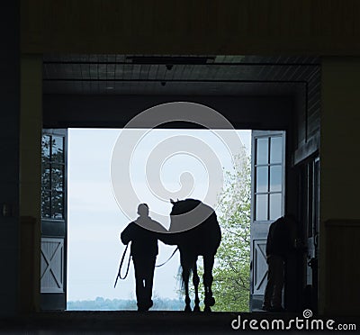 Horse Silhouette Stock Photo