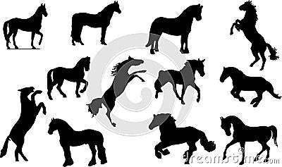 Horse silhouette. Vector Illustration