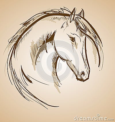 Horse sketch icon. Vector horse waving mane. Stock Photo