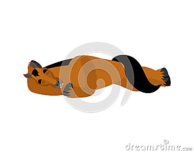 Horse sleeping. Steed asleep emotions. hoss dormant. Vector illustration Vector Illustration