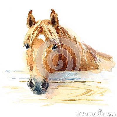 Horse in Stable Watercolor Animal Illustration Hand Painted Cartoon Illustration