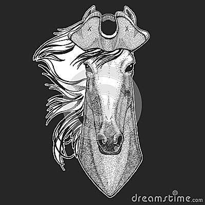 Horse, steed, courser. Pirate cocked hat. Portrait of wild animal. Vector Illustration