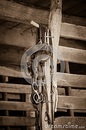 Horse Tack Items Stock Photo