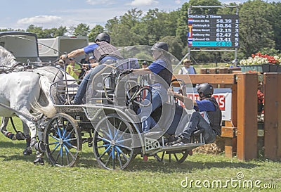 Horse team at a competition in nature Editorial Stock Photo