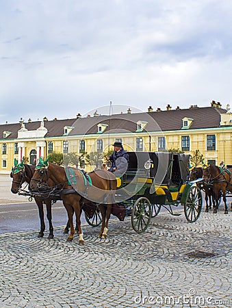 Horse team near the Schonbrunn Palace Editorial Stock Photo