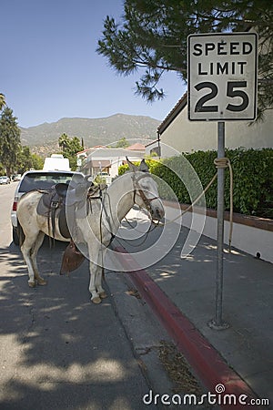 Horse tethered to a sign relaxes on a side street during Fourth of July celebration in Ojai, CA Editorial Stock Photo