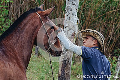 Horse trainer gently stroking horse`s head Stock Photo