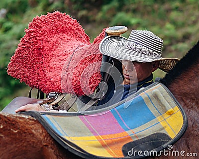 Horse trainer saddling a horse for the first time Stock Photo