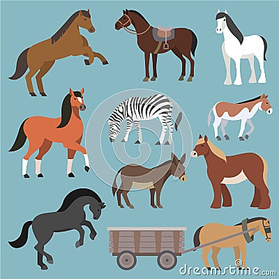 Horse vector animal of horse-breeding or equestrian and horsey or equine stallion illustration animalistic horsy set of Vector Illustration