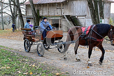 Horse walks in the park in the estate of Count Leo Tolstoy in Yasnaya Polyana in October 2017 Editorial Stock Photo