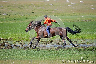 On horseback across the steppe Stock Photo