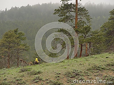 Horseback Rider in Mountains Stock Photo