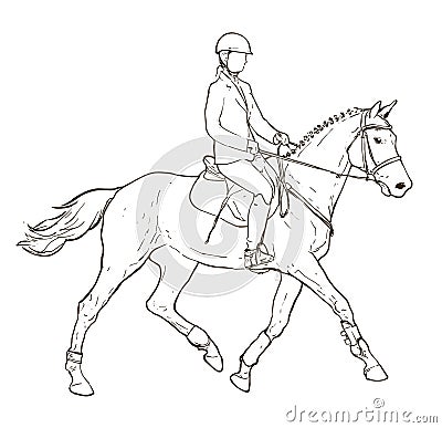 Horseback rider drawing on white, hand drawn illustration on equestrian sports theme, horse and young female sketch Vector Illustration