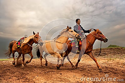 Horsebreaker Editorial Stock Photo