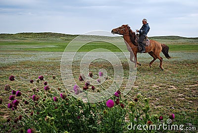 Horseman Stock Photo