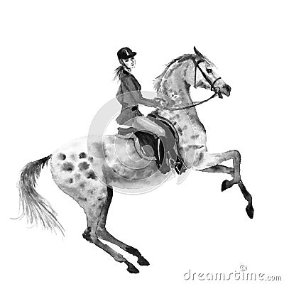 Horseback rider and rearing dapple grey horse. Black and white monochrome watercolor or ink hand drawing illustration. Stock Photo