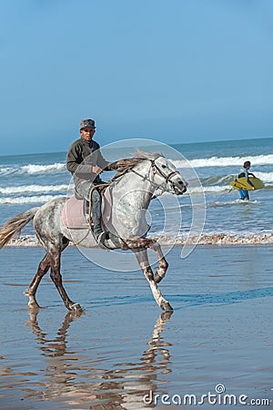 ESSAOUIRA/MOROCCO - MARCH 12, 2014: Horseman rides a gray horse along the ocean Editorial Stock Photo