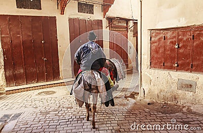 Horseman in the street of fez Editorial Stock Photo